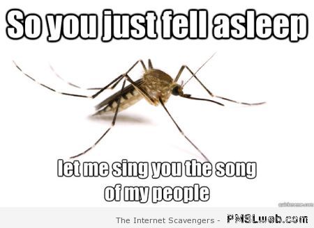 Scumbag mosquito at PMSLweb.com
