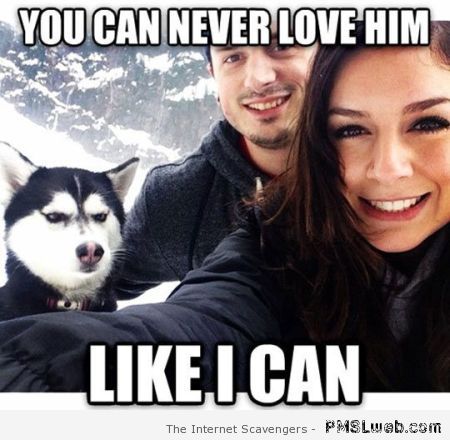 You can never love him dog meme at PMSLweb.com