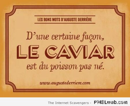 Auguste Derriere le caviar – Funny French pictures at PMSLweb.com