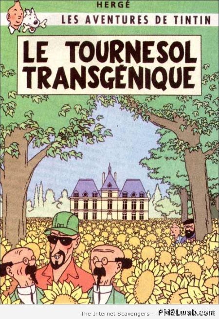 Tintin le Tournesol transgénique at PMSLweb.com