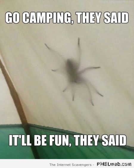 Go camping they said – Saturday funnies at PMSLweb.com