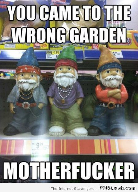 You came to the wrong garden meme at PMSLweb.com
