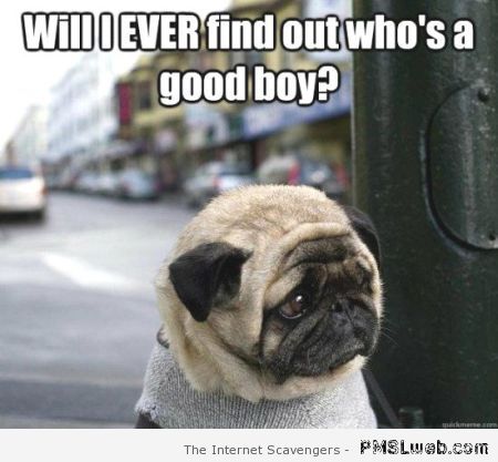 Will I ever find out who’s a good boy at PMSLweb.com