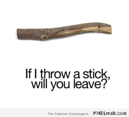 If I throw a stick will you leave at PMSLweb.com