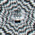 cat-optical-illusion