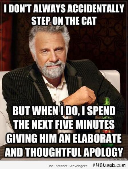 I don’t always step on the cat meme at PMSLweb.com
