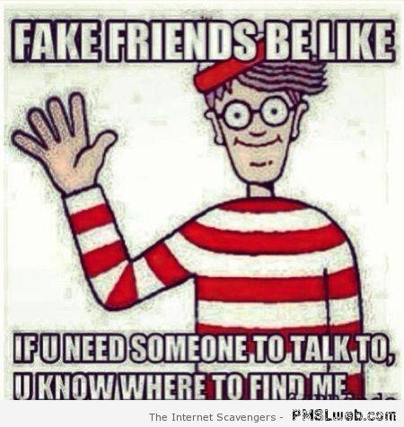 Fake friends be like waldo at PMSLweb.com