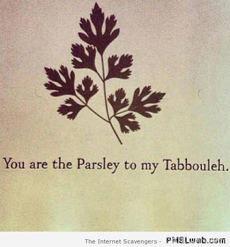 You are the parsley to my tabbouleh at PMSLweb.com