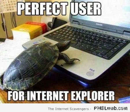 Perfect user for Internet explorer – Saturday lolz at PMSLweb.com
