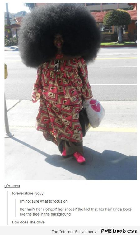Afro haircut funny comment at PMSLweb.com