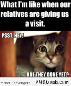 17-when-relatives-visit-meme