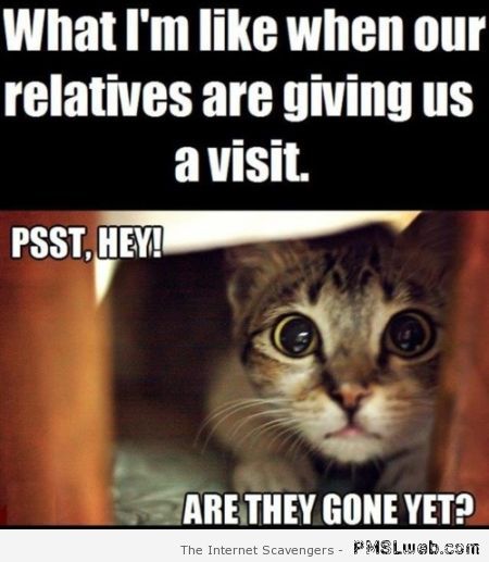 When relatives visit meme at PMSLweb.com