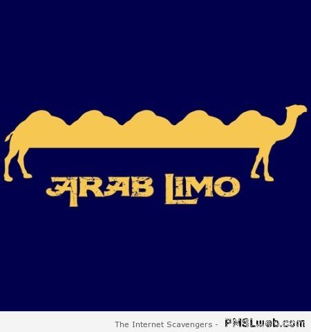 Funny Arab limo at PMSLweb.com