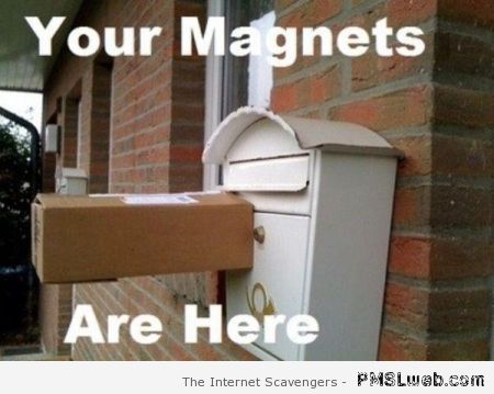 Your magnets are here  humor at PMSLweb.com