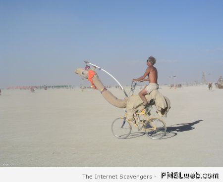 Camel bicycle at PMSLweb.com