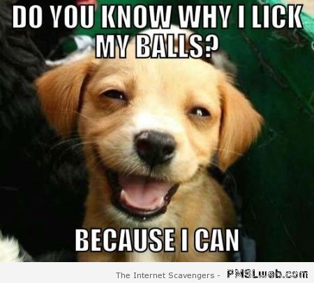 Do you know why I lick my balls at PMSLweb.com