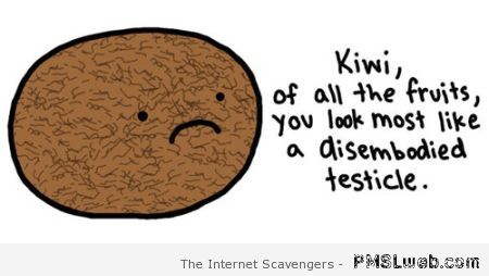Kiwi fruit testicle humor – Sarcastic quotes at PMSLweb.com