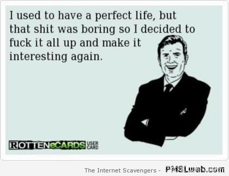 I use to have a perfect life sarcastic ecard at PMSLweb.com