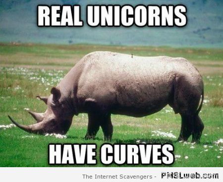 Real unicorns have curves at PMSLweb.com