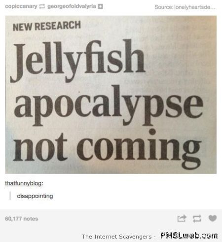 Jellyfish apocalypse – Crazy pics at PMSLweb.com