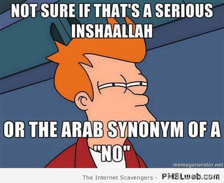 Inshaallah Arab synonym of no at PMSLweb.com