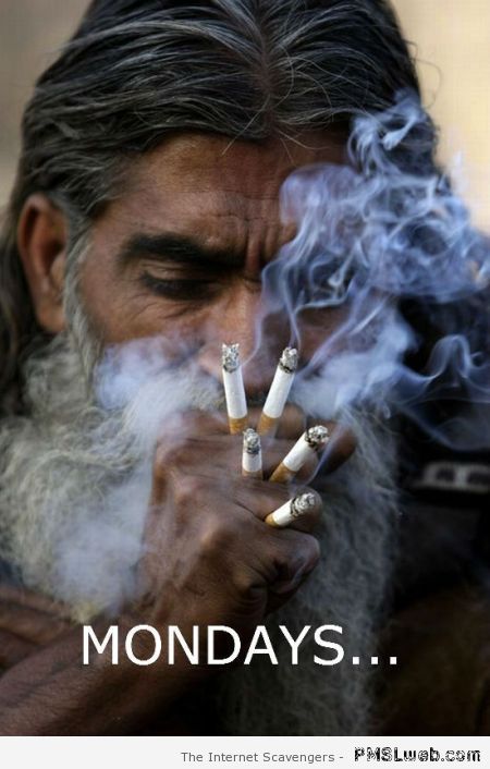 Funny Monday smoker at PMSLweb.com