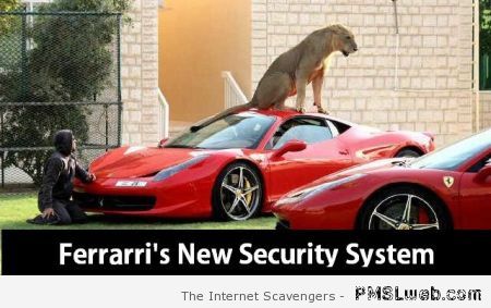 Funny Ferrari security system at PMSLweb.com