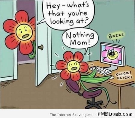 Funny flower cartoon at PMSLweb.com