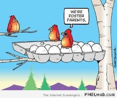 Foster parents funny bird cartoon at PMSLweb.com