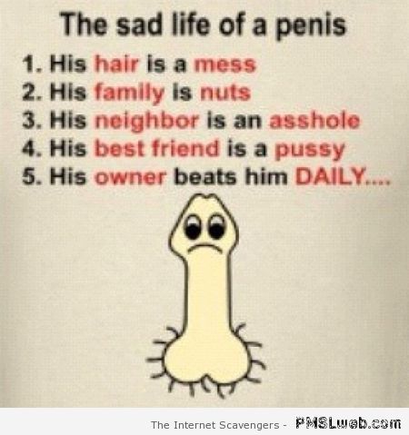 The sad life of a penis at PMSLweb.com