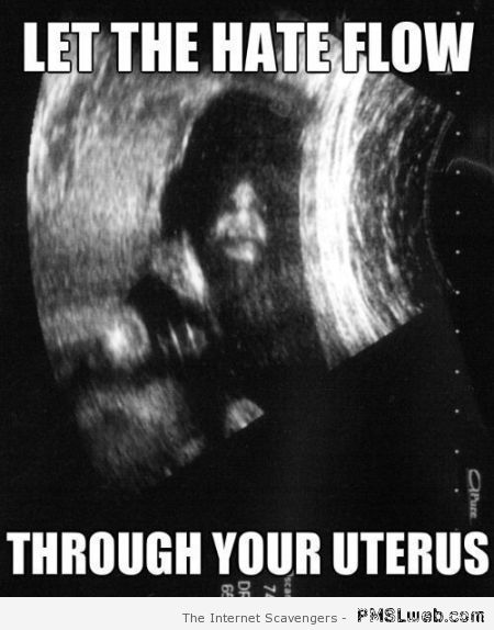 Palpatine in utero at PMSLweb.com