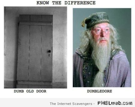 Dumb old door versus Dumbledore at PMSLweb.com