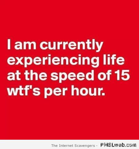 Life at the speed of 15 WTF’s per hour at PMSLweb.com