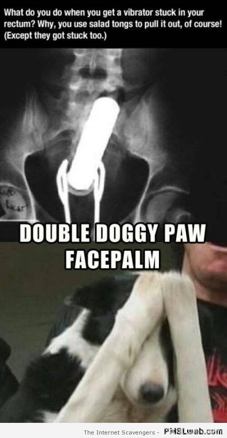 Double doggy paw facepalm meme at PMSLweb.com