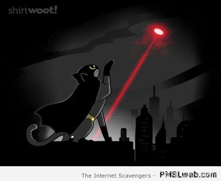 Batcat and red dot at PMSLweb.com