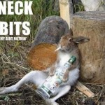 redneck-rabbits