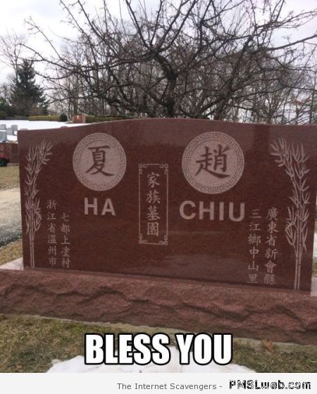 Bless you gravestone – Funny happy Monday at PMSLweb.com