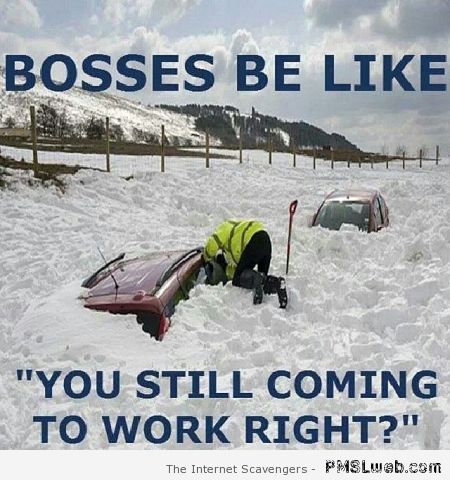 Bosses be like – Humoristic pics at PMSLweb.com