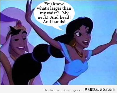 Funny Aladin and Jasmin at PMSLweb.com