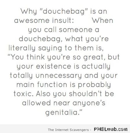 Why douchebag is an awesome insult at PMSLweb.com