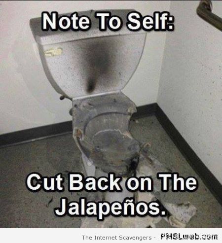 Funny toilet meme at PMSLweb.com