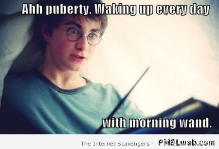 Happy Potter puberty meme at PMSLweb.com