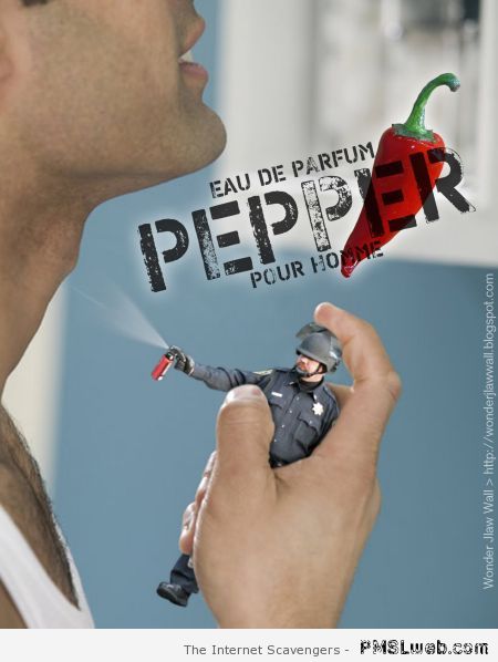 Eau de parfum pepper pour home at PMSLweb.com