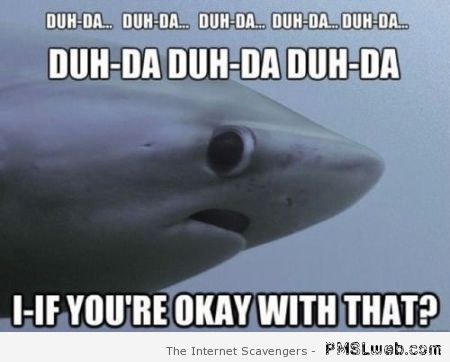 Funny shark meme at PMSLweb.com