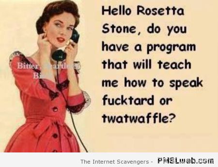 Rosetta Stone sarcasm at PMSLweb.com
