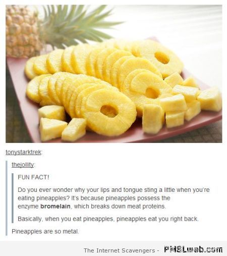 Pineapple funny fact at PMSLweb.com