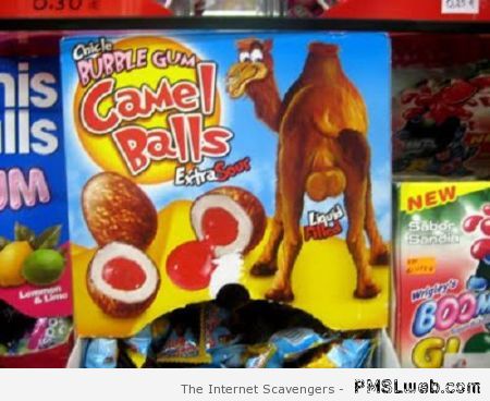 Bubble gum camel balls at PMSLweb.com