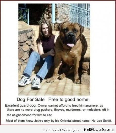 Dog for sale humor at PMSLweb.com