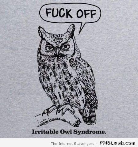 Irritable owl syndrome at PMSLweb.com