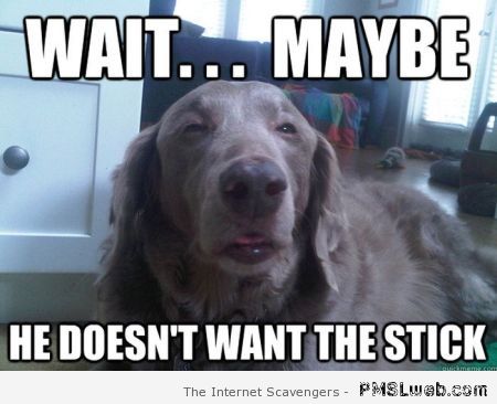 Maybe he doesn’t want the stick dog meme at PMSLweb.com